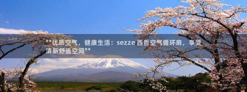 凯发官方首页：**优质空气，健康生活：sezze 西哲空气循环扇，享受
清新舒适空间**